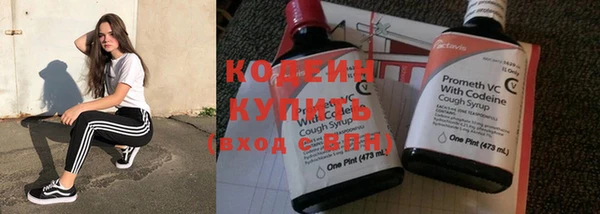 винт Няндома