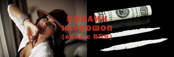 винт Няндома